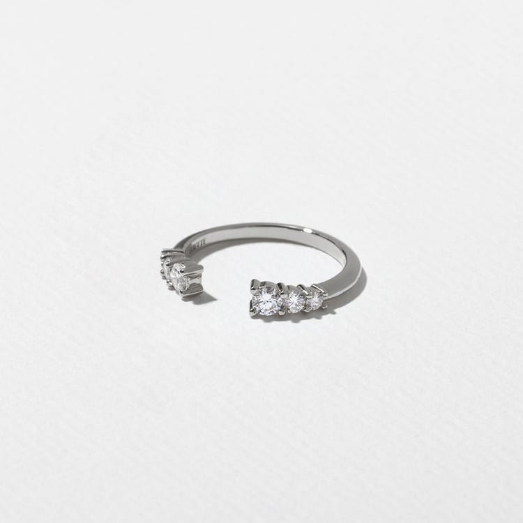 Wren in Platinum – view 2