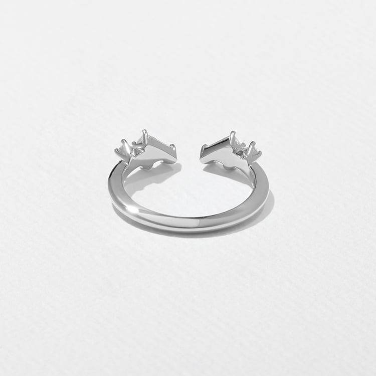 Cosmos in Platinum – view 3