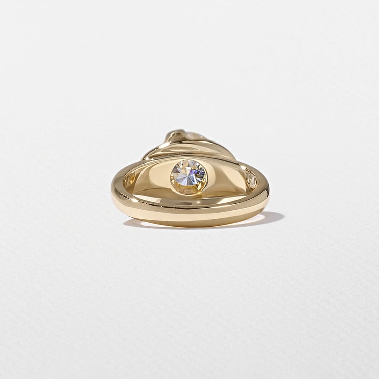 Gaia Round in 18k Yellow Gold – view 4