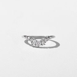Birch in Platinum thumbnail