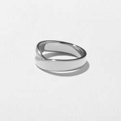 Hudson in Platinum – view 2 thumbnail