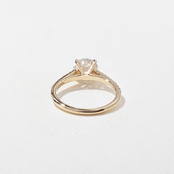 Iris Round Solitaire with Pavé in 14k Yellow Gold – view 4 thumbnail