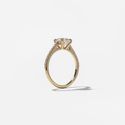 Iris Round Solitaire with Pavé in 14k Yellow Gold – view 5 thumbnail