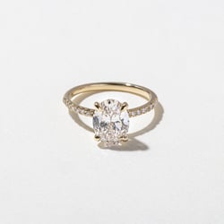 Grace Oval Solitaire with Pavé in 14k Yellow Gold thumbnail