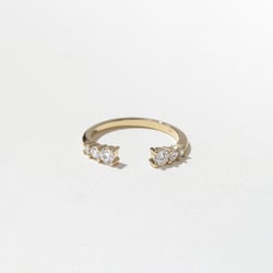 Wren in 14k Yellow Gold thumbnail