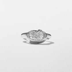 Gaia Cushion-Cut in Platinum thumbnail