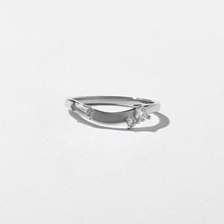 Pine in Platinum thumbnail