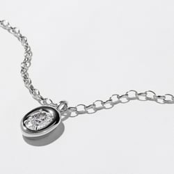 Delphi Oval XL Necklace in 14k White Gold – view 2 thumbnail