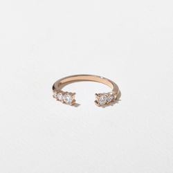 Wren in 14k Rose Gold thumbnail