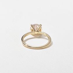 Grace Round Solitaire in 14k Yellow Gold – view 4 thumbnail