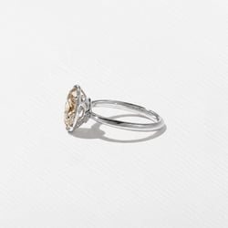 Daphne Champagne Diamond in 18k White Gold – view 2 thumbnail
