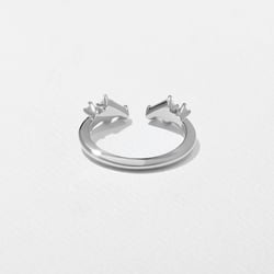 Cosmos in Platinum – view 3 thumbnail