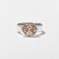 Reid Champagne Diamond in Platinum thumbnail