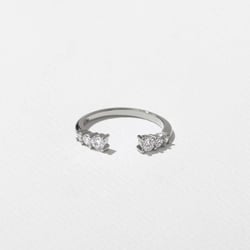 Wren in 14k White Gold thumbnail